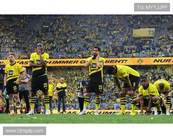 德甲球队主场球场一览图：名称与容纳人数全汇总